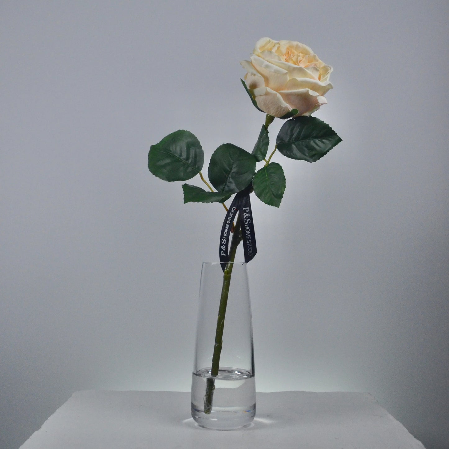 Single white rose in a clear vase on a gray background