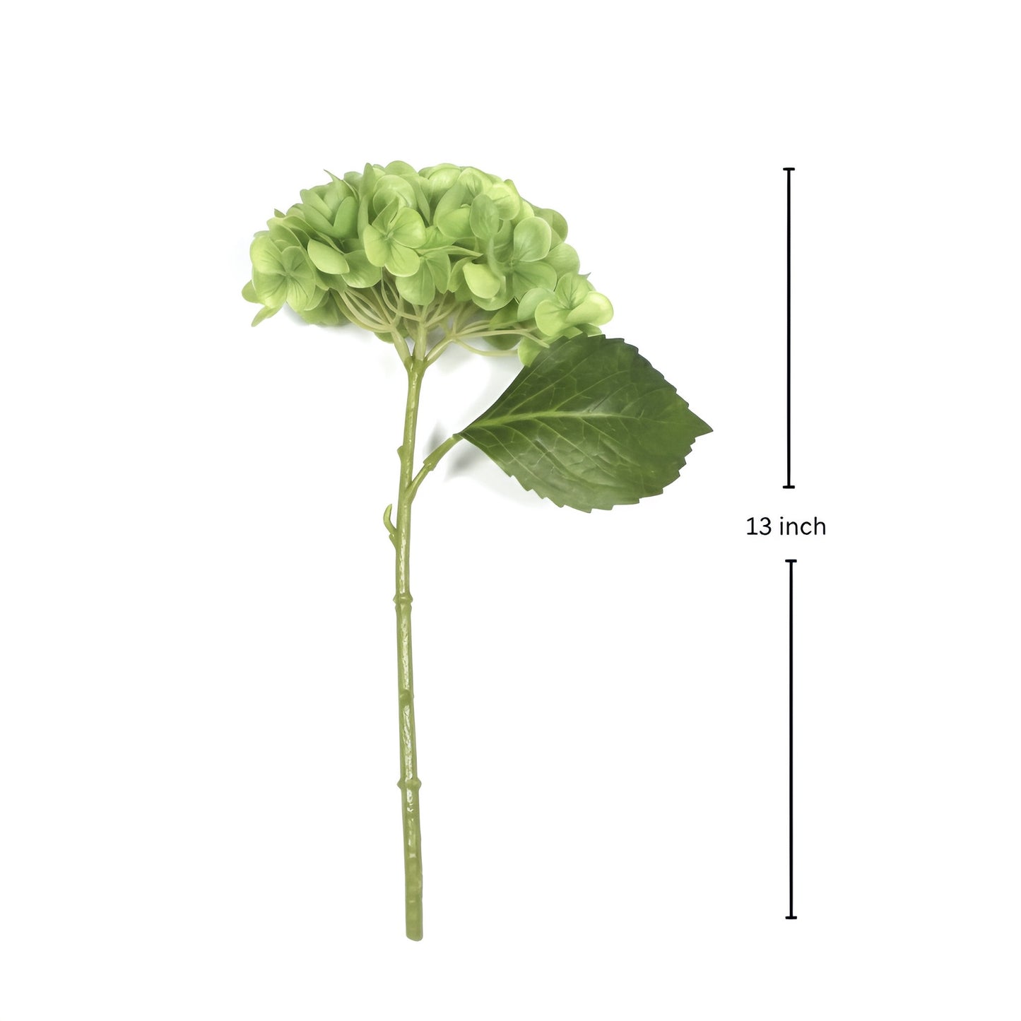 Green artificial flower branch with a leaf and measurement label on a white background