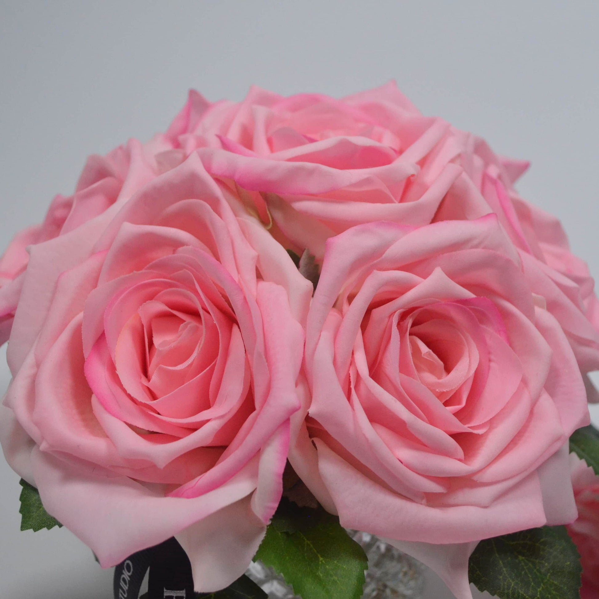 Bouquet of onion pink roses on a light gray background
