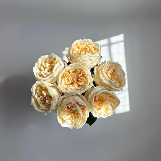 Bouquet of white roses on a light gray background