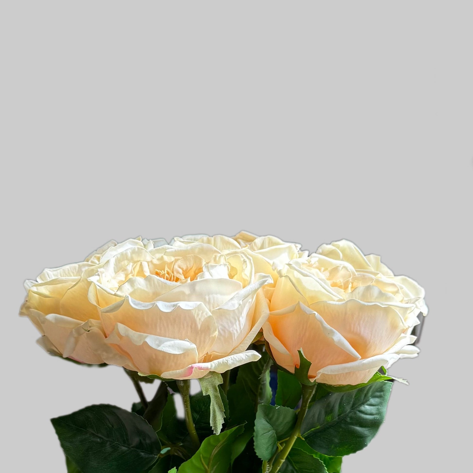 Bouquet of white roses on a light gray background