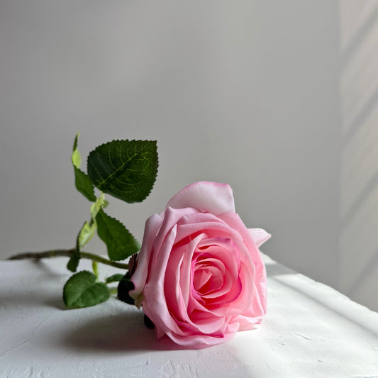 Pink rose with green leaves on a white surface