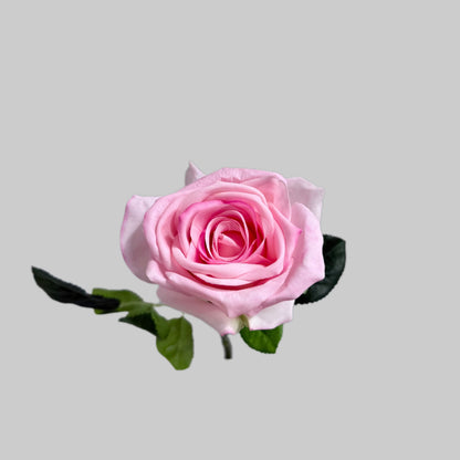 Single pink rose with green leaves on a light gray background