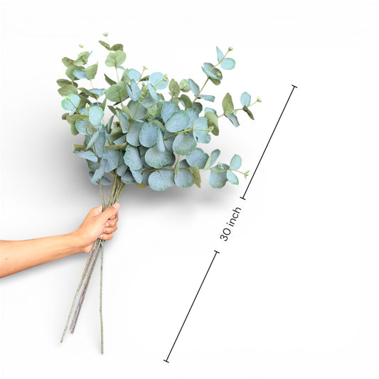 Bouquet of eucalyptus leaves held by a hand with measurement details on a white background