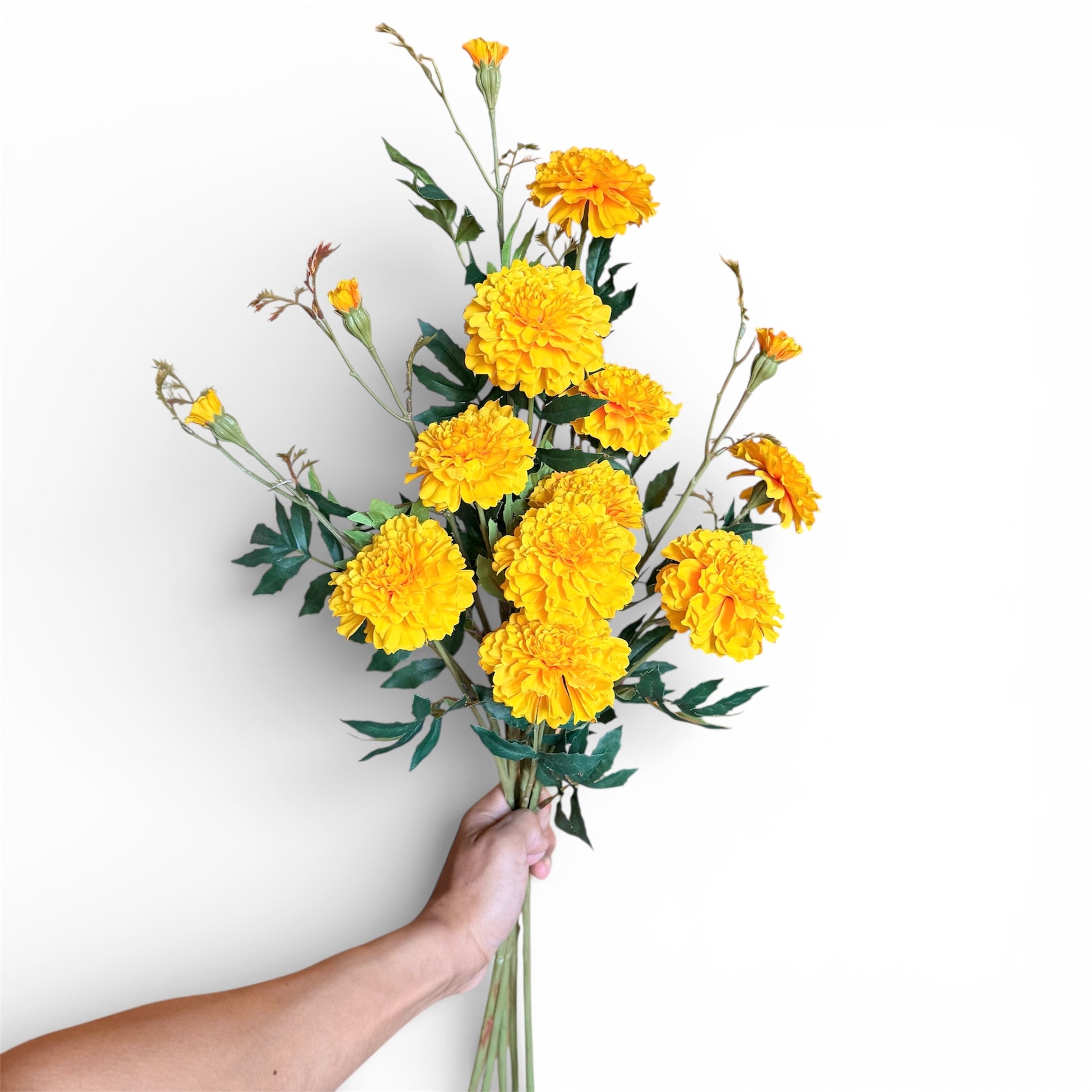 Bouquet of yellow flowers held by a hand against a white background