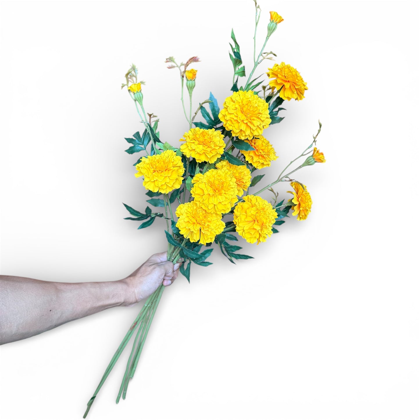 Bouquet of yellow flowers held by a hand on a white background