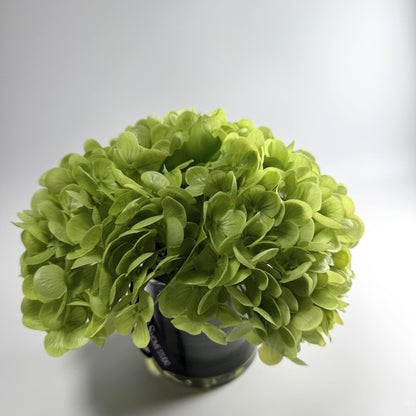 Green artificial flower ball on a white background. Green hydrangea in glass vase faux floral