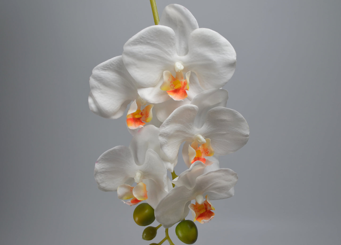 Real-Touch Artificial White Moth Orchid