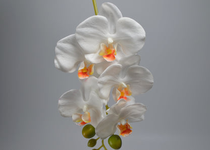 Real-Touch Artificial White Moth Orchid