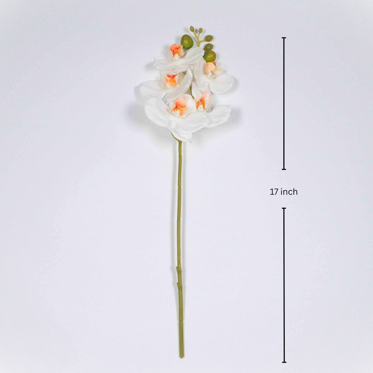 Real touch 17 inch white orchid single stem