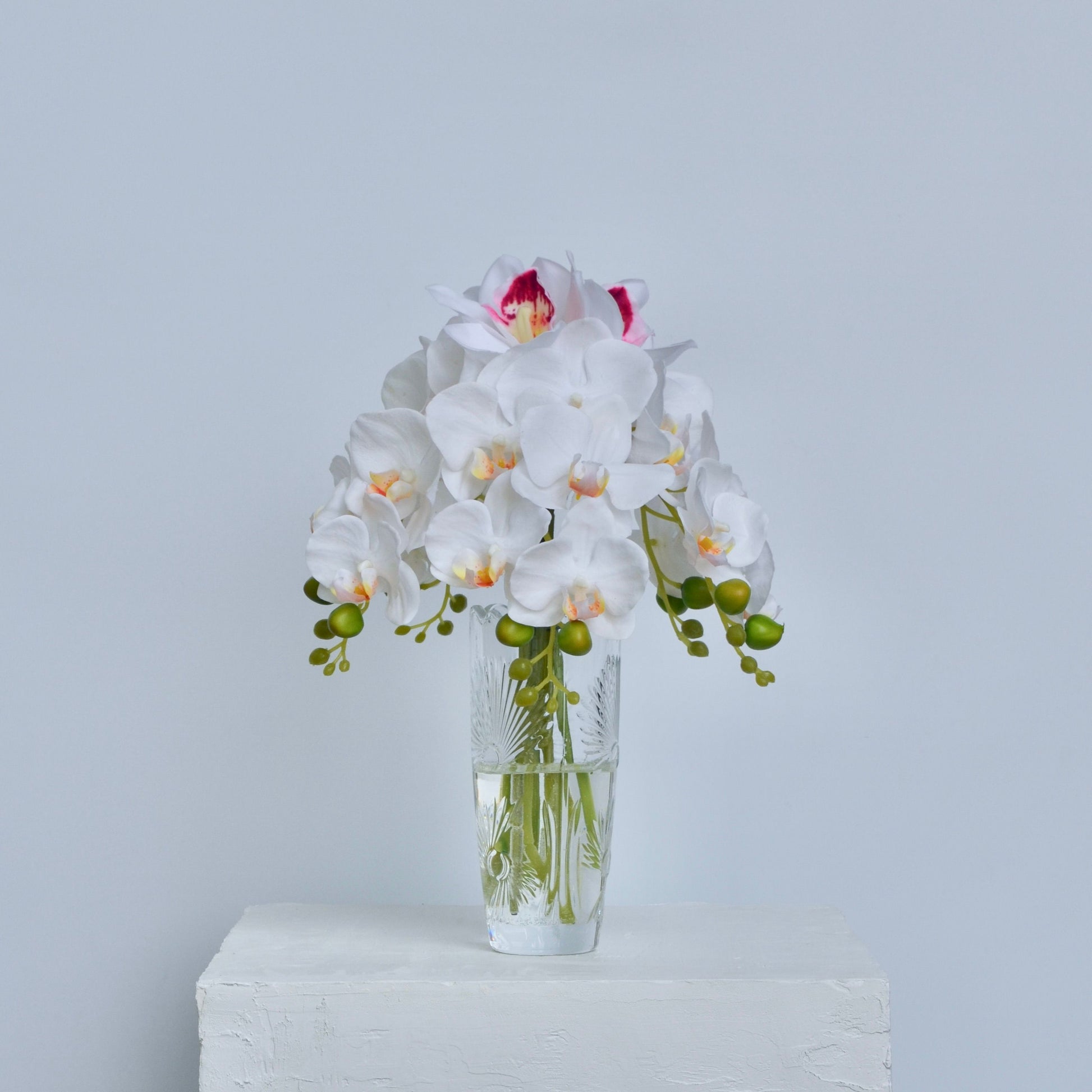 White orchids in a clear vase on a white surface with a light gray background