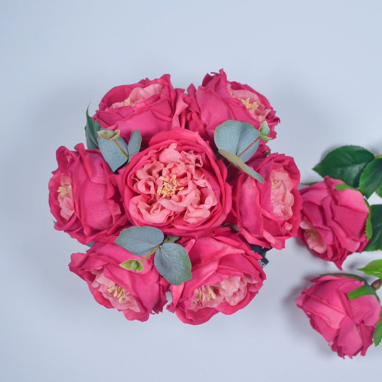 Bouquet of pink flowers with green leaves on a light gray background