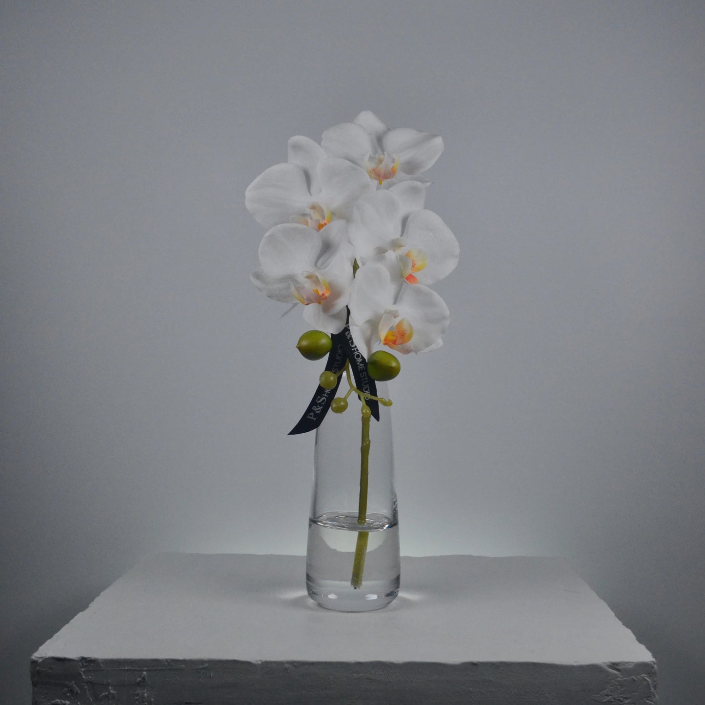 White orchids in a clear vase on a gray surface with a gray background
