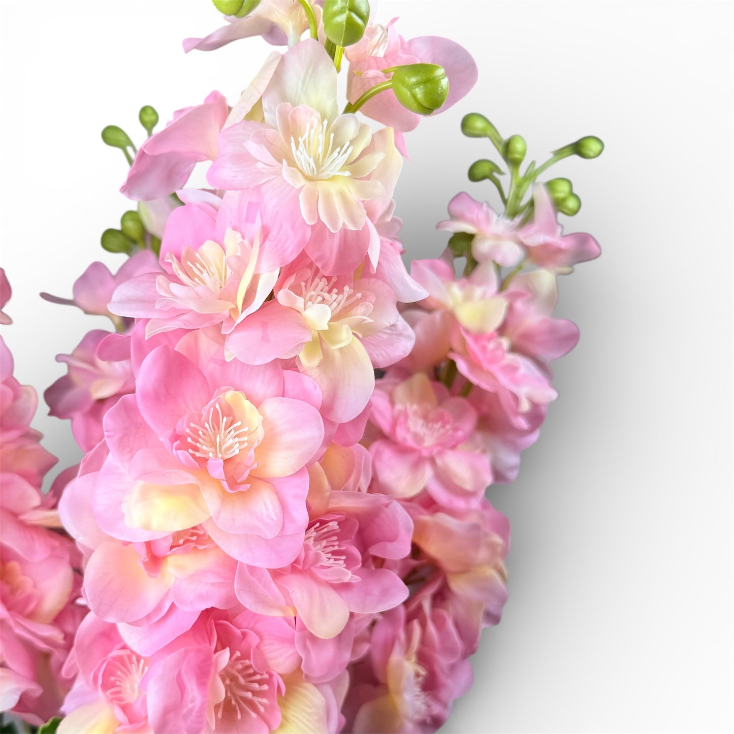 Pink and white flowers on a white background