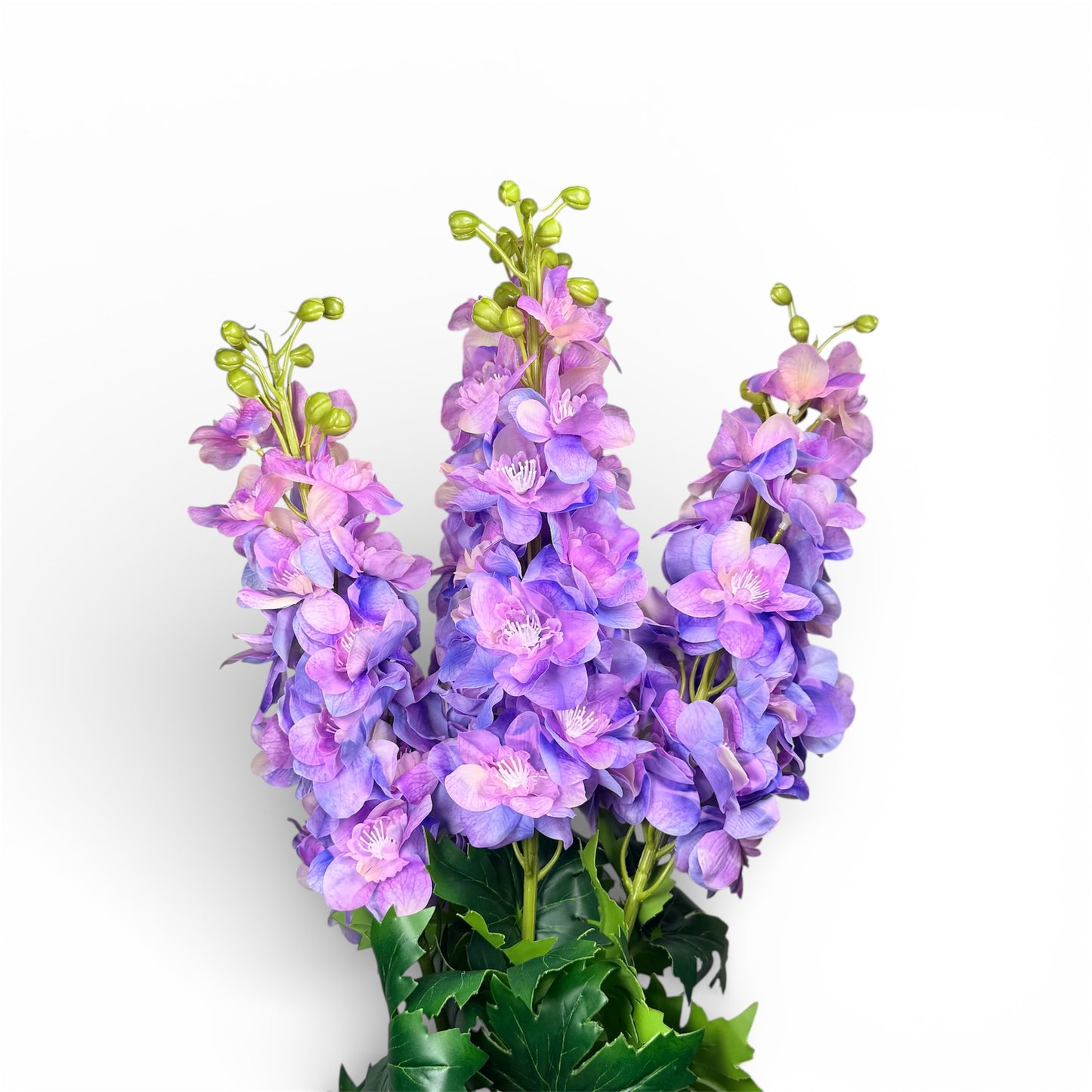 Purple flowers with green stems on a white background