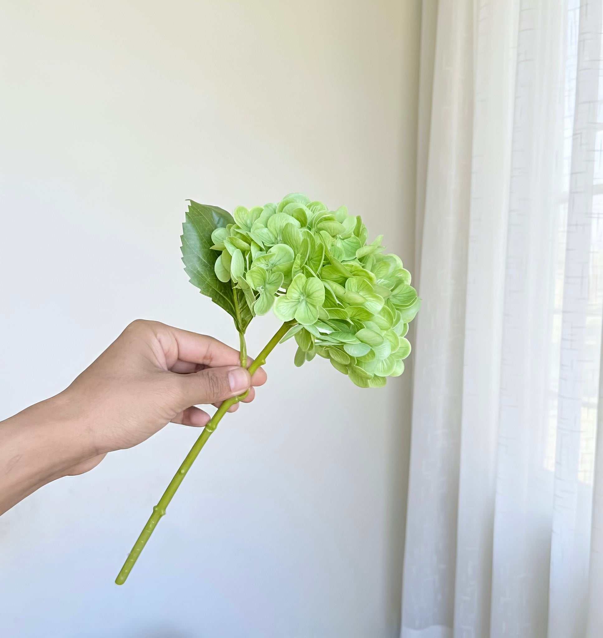 Hand holding a green artificial flower against a white curtain background