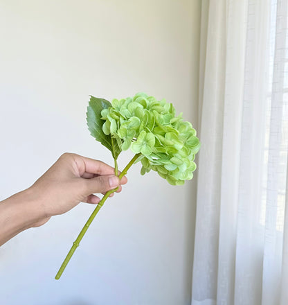 Hand holding a green artificial flower against a white curtain background