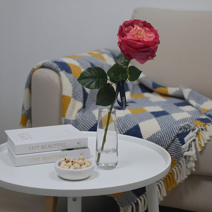 Pink rose in a clear vase on a white table with books and a bowl in a cozy living room setting.