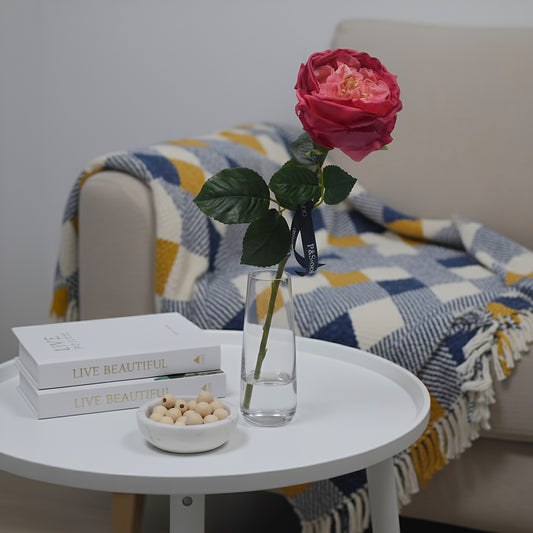 Pink rose in a clear vase on a white table with books and a bowl in a cozy living room setting.
