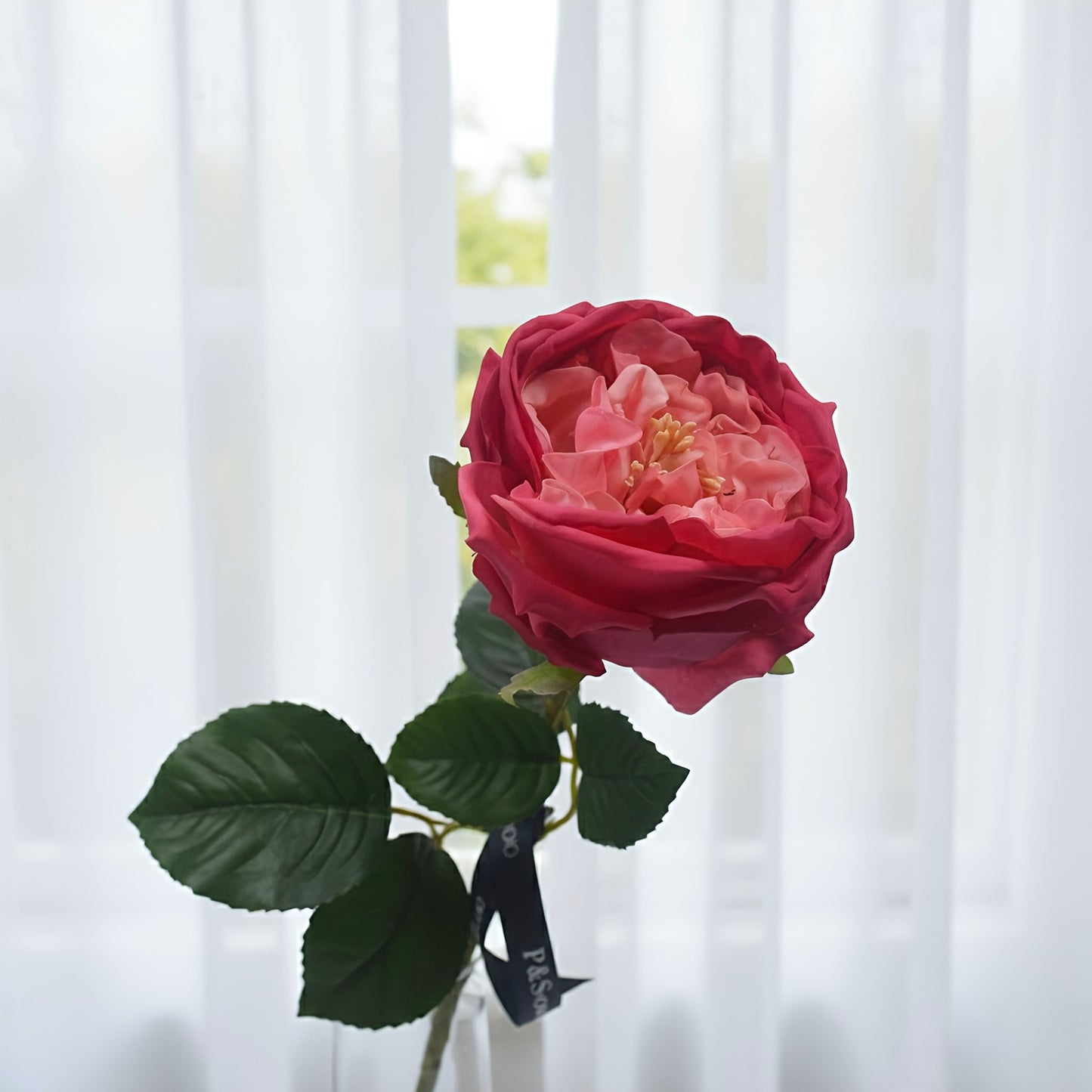 Artificial red and pink rose with green leaves against a white curtain background