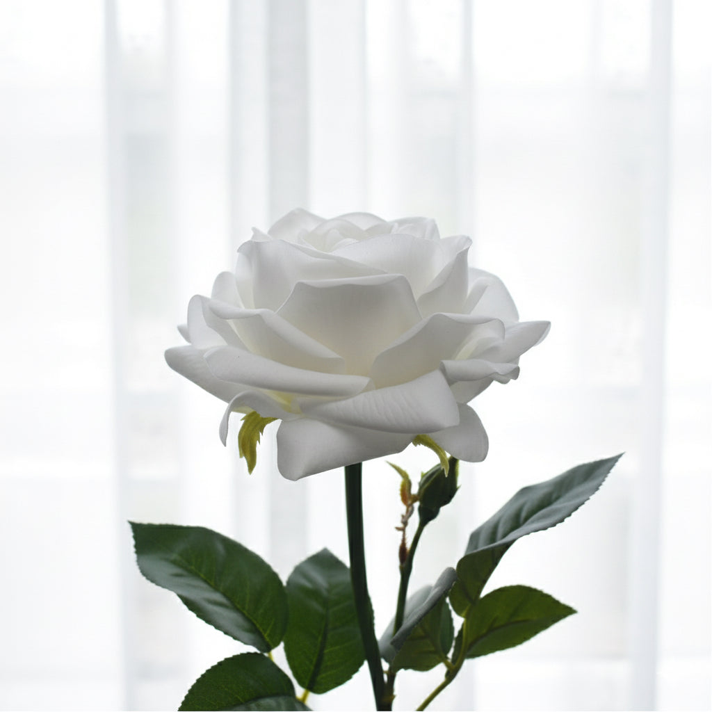 Ultra-Realistic White Cabbage Rose