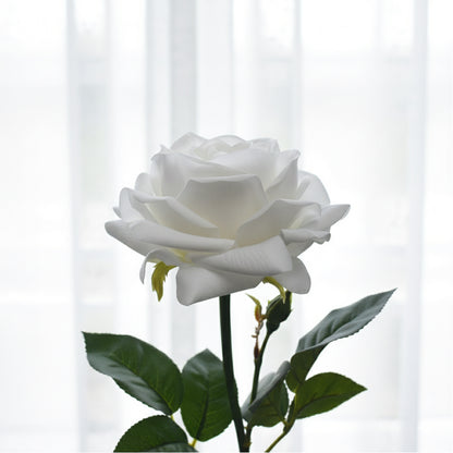 Ultra-Realistic White Cabbage Rose