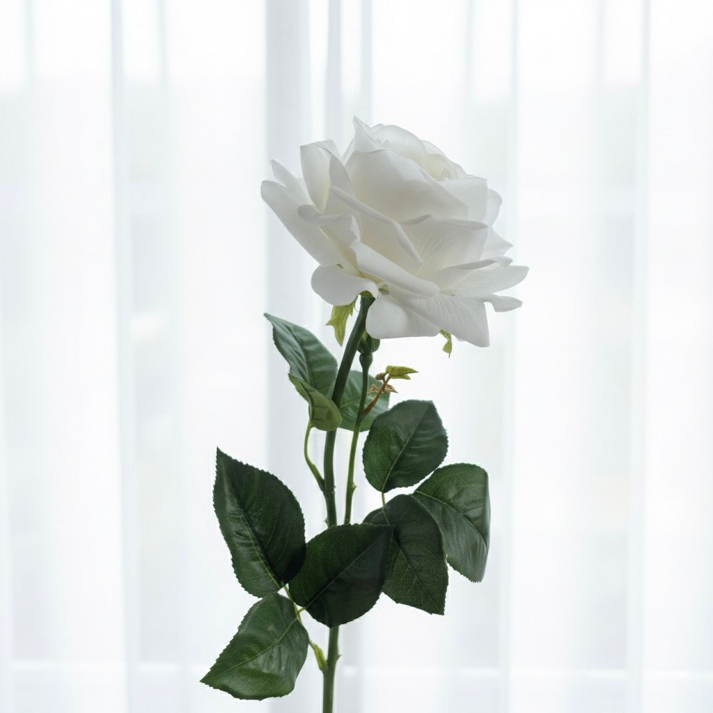 Ultra-Realistic White Cabbage Rose