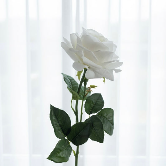 Ultra-Realistic White Cabbage Rose
