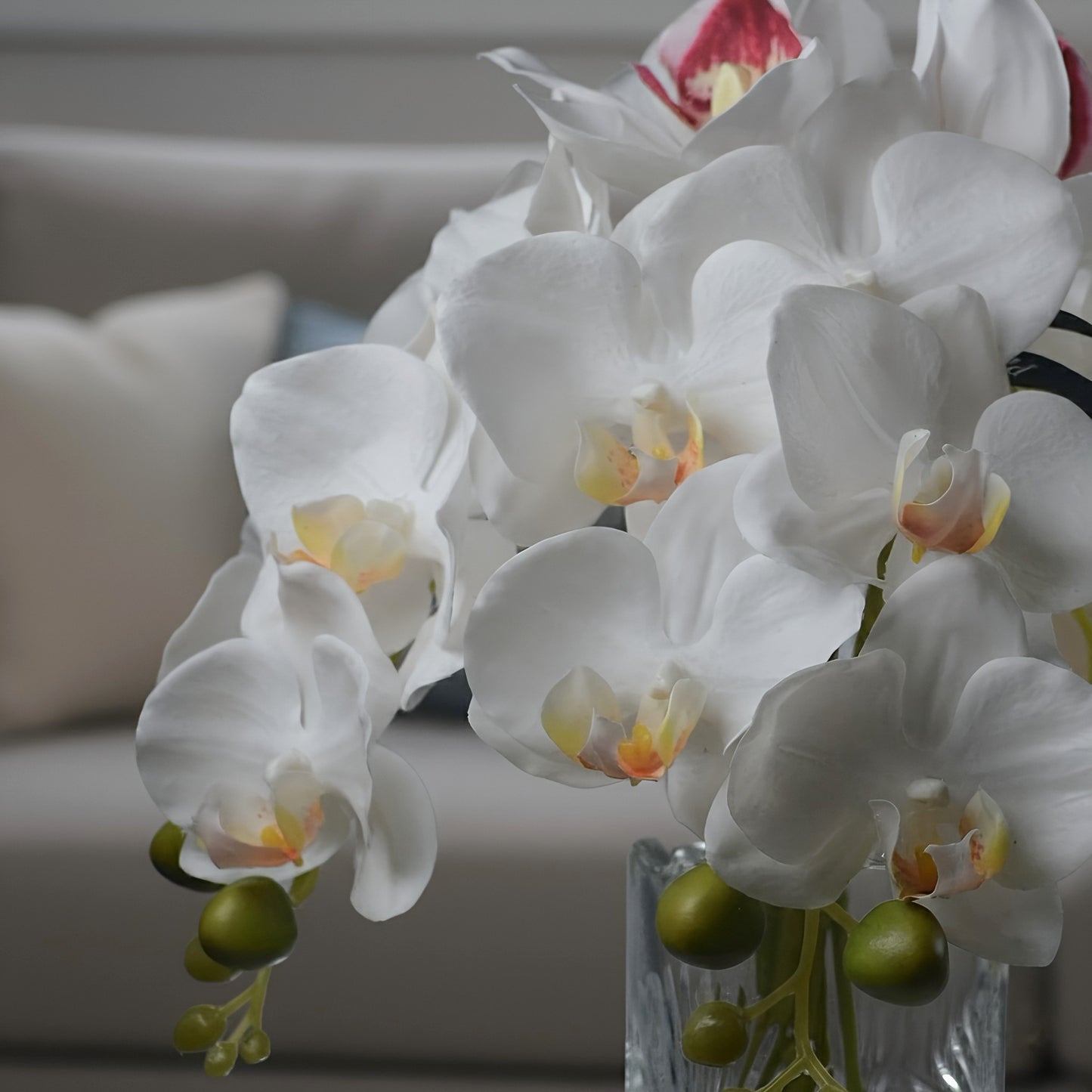 Real Touch White Moth Orchid Arrangements Permanently Set in illusion Water in Glass Vase