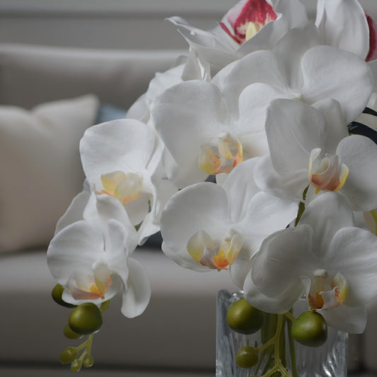 Real Touch White Moth Orchid Arrangements Permanently Set in illusion Water in Glass Vase