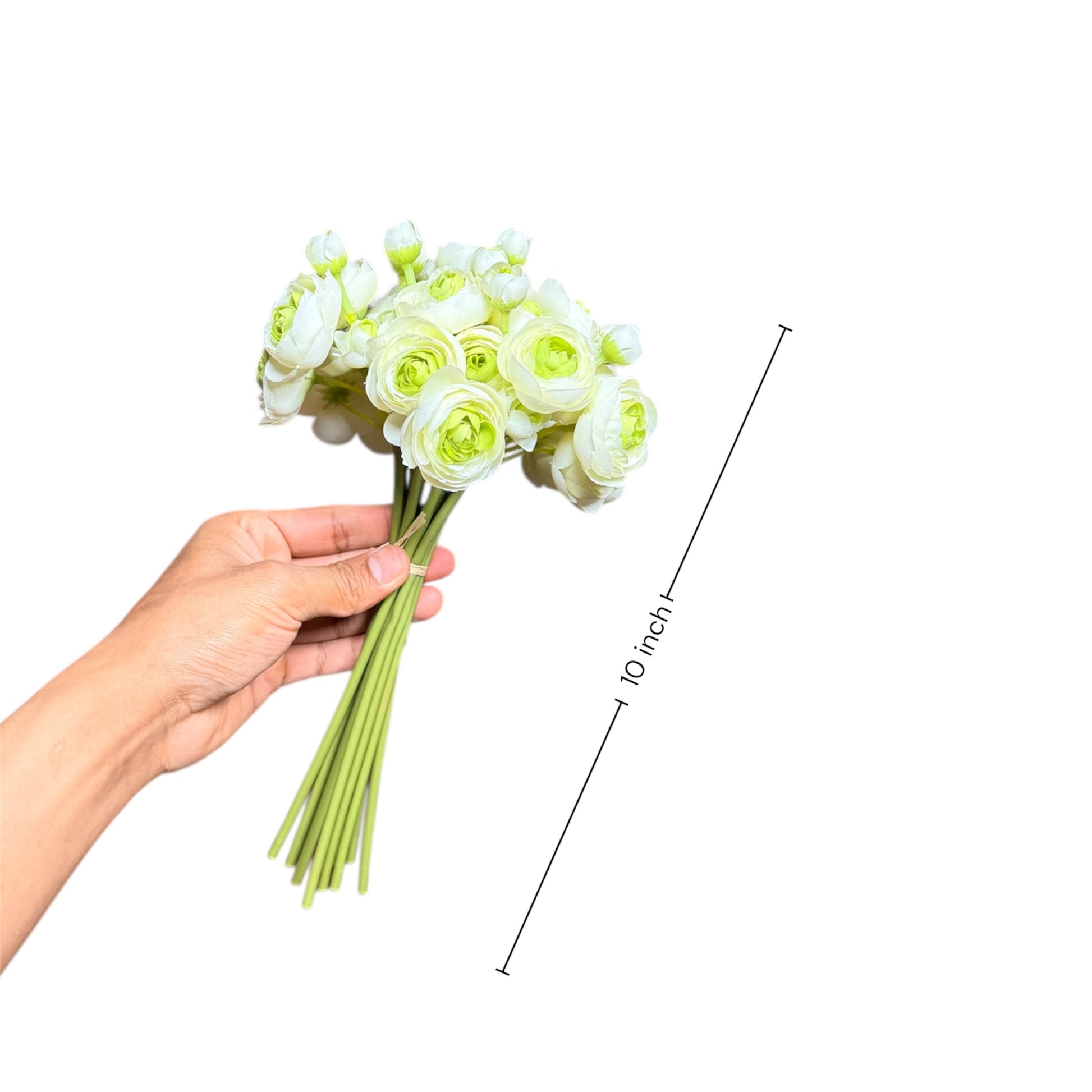 Hand holding a bouquet of white flowers with a measurement label indicating 10 inches.
