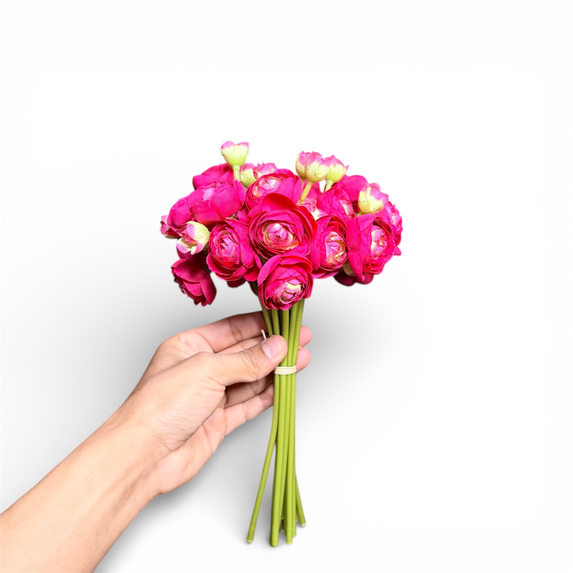 Hand holding a bouquet of bright pink flowers against a white background