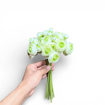 Hand holding a bouquet of green flowers against a white background