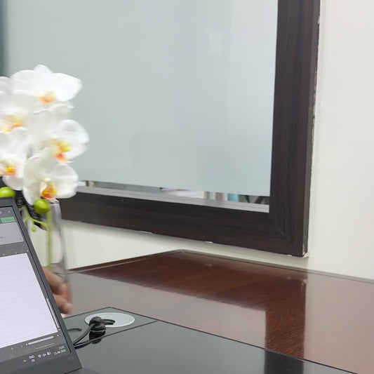 Single Stem Real Touch Moth Orchid Permanently set in illusion Water in Glass Vase