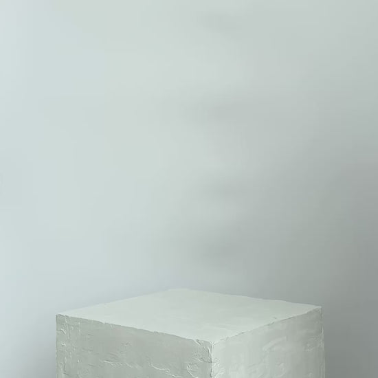 White orchids with pink centers on a light gray background