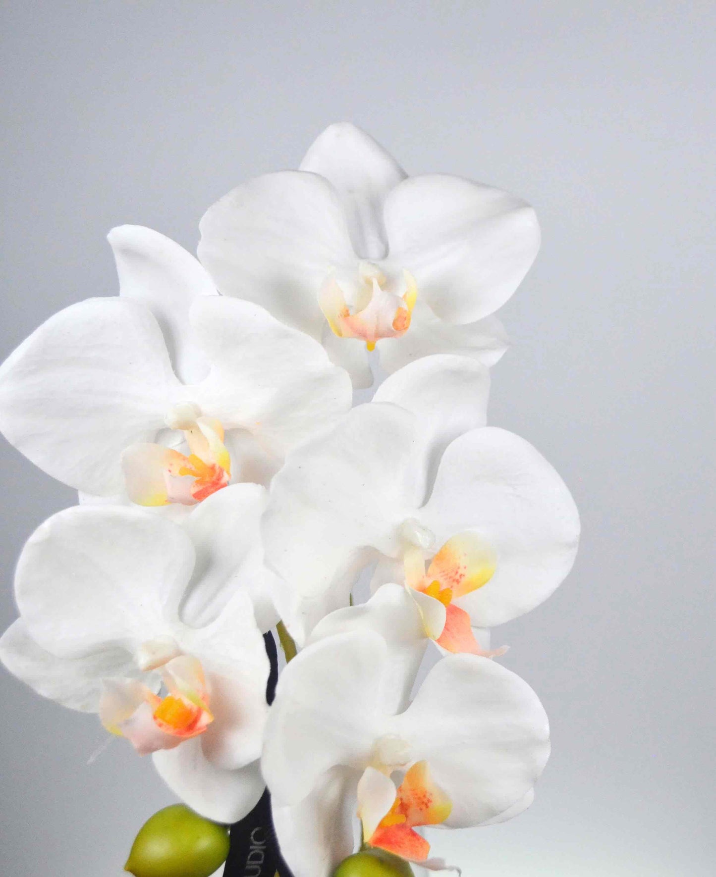 Real touch 17 inch white orchid single stem