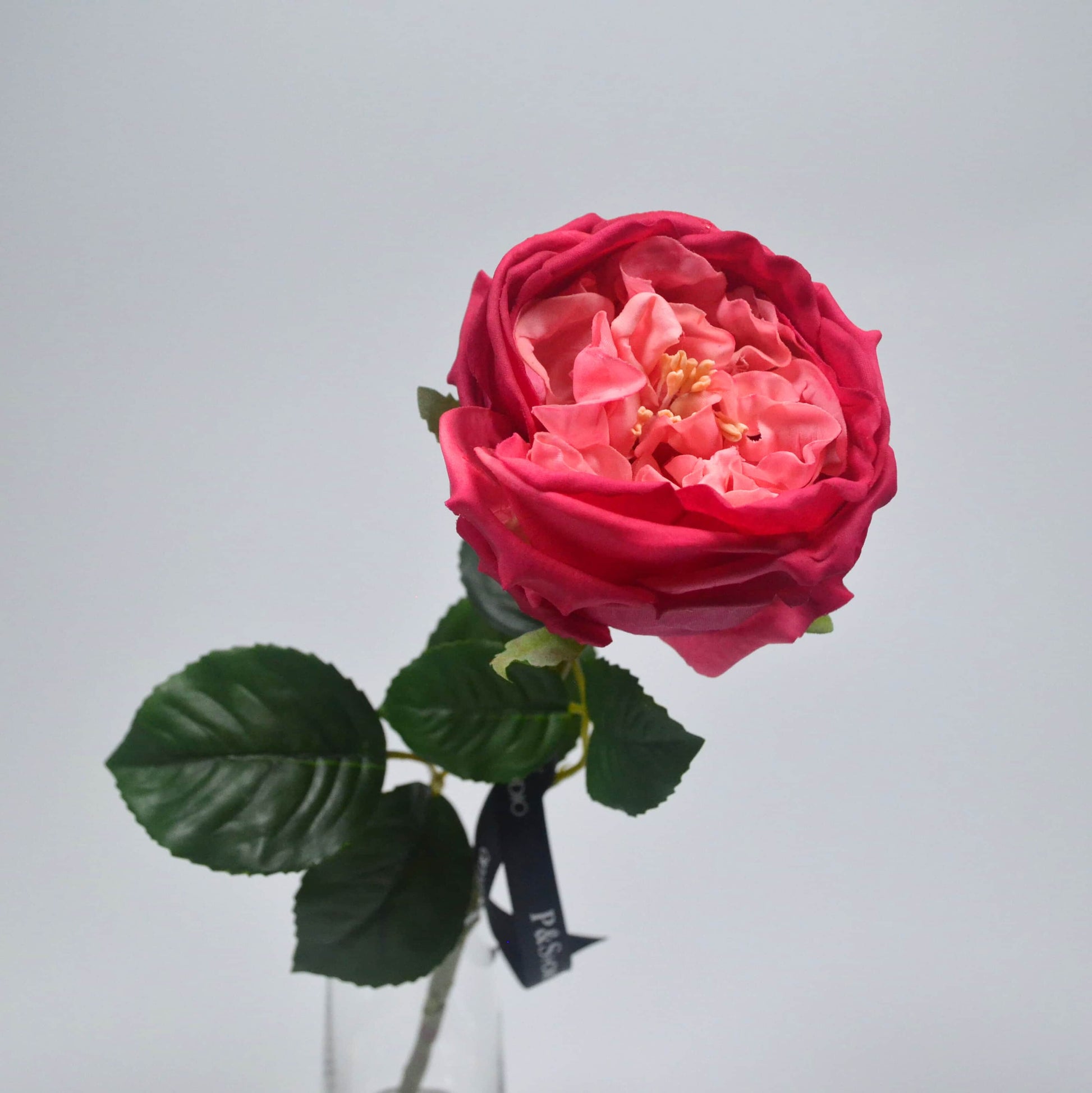 Pink artificial rose with green leaves on a light gray background